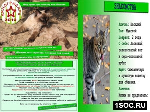 Гран При. Интим не предлагать Малый виноградарь 2010