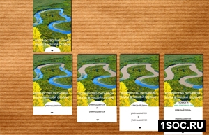 Нестандартный носитель. Количество Малый виноградарь 2010